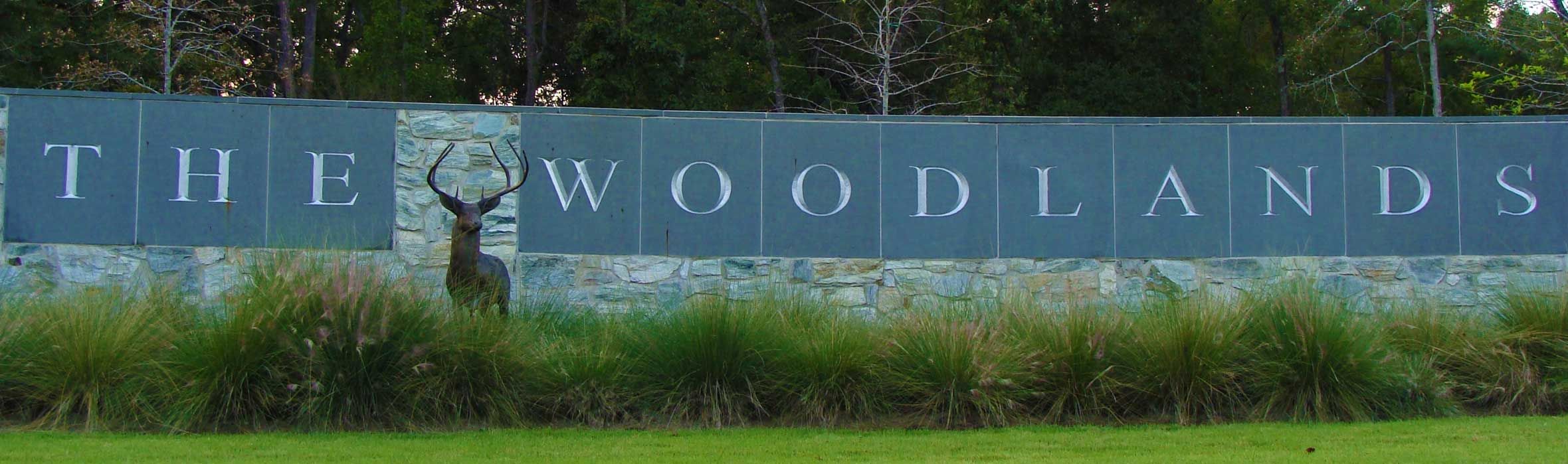 The Woodlands Texas New Homes